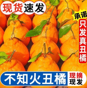 【下单立减50】正宗四川不知火丑橘丑橘当季新鲜水果橘子柑橘