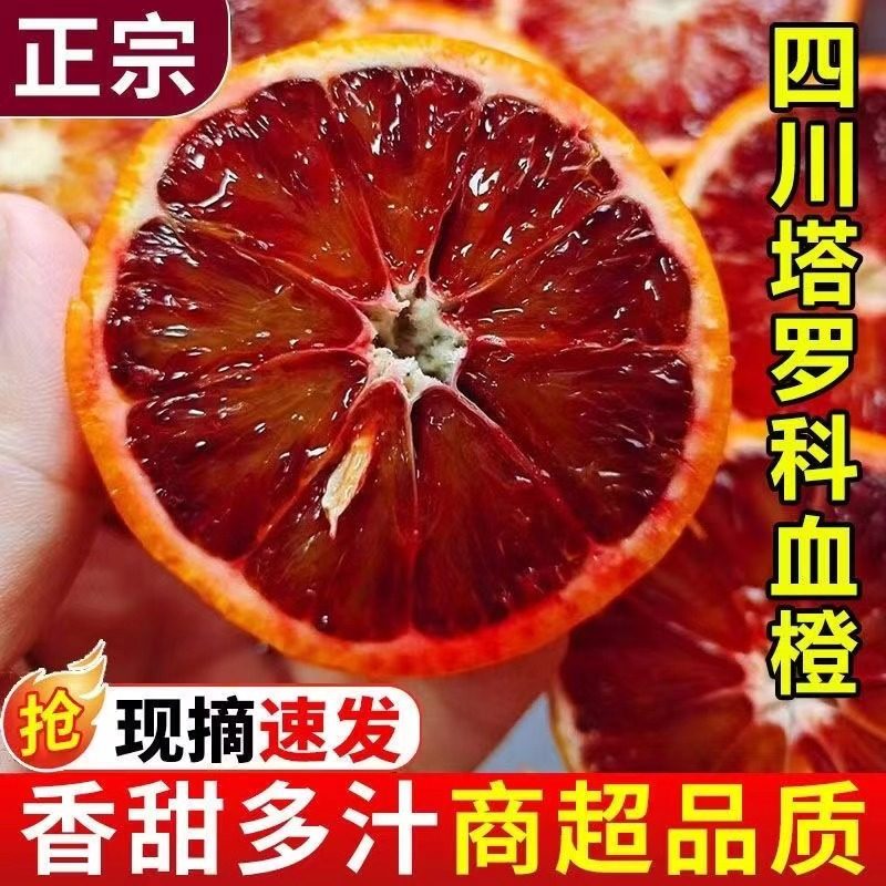 【下单立减50】（只卖大果）四川塔罗科血橙新鲜水果大果农家自种,水产肉类/新鲜蔬果/熟食,橙,淘宝优惠券,粉丝福利购,淘宝优惠卷