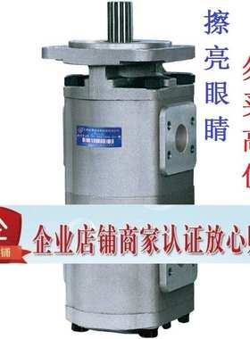 合肥长源双联齿轮油泵CBG2050/2040-BFHR BFPR