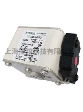 170M5460 170M5462   快速熔断器  保险丝 电子元器件 量大价优