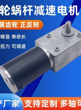 5882蜗轮蜗杆减速电机600JSX50ZY智能家居机器人设备微型直流马达