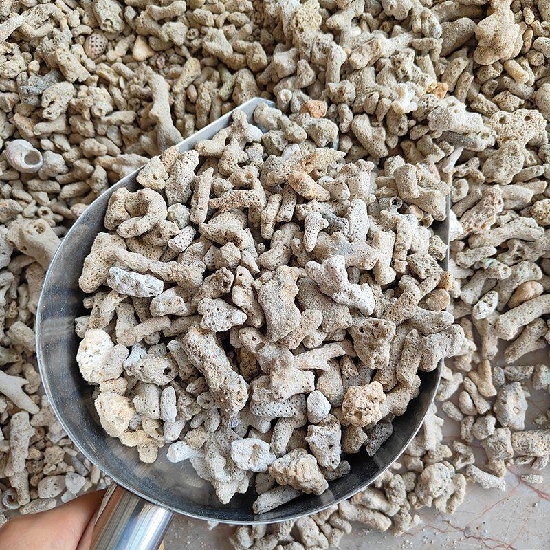 纯天然珊瑚骨红火山石鱼池过滤材料鱼缸滤材底砂底沙珊瑚石海鲜池,宠物/宠物食品及用品,过滤材料,淘宝优惠券,粉丝福利购,淘宝优惠卷