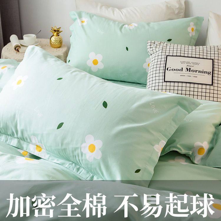 枕套纯棉家用一对装48cmx74cm单个枕头套全棉乳胶枕芯整头套40x60