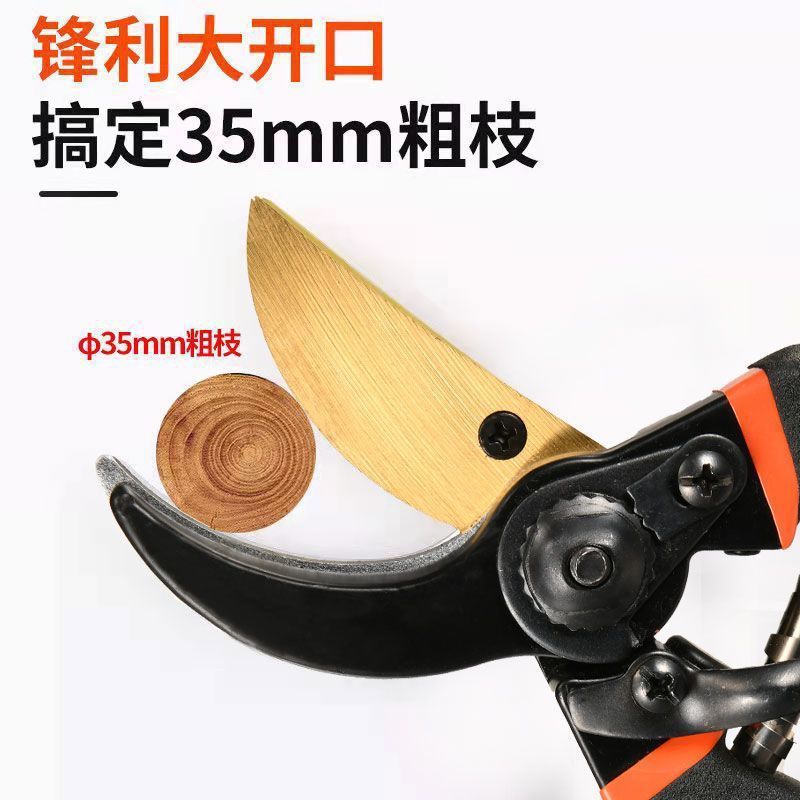 德钢剪树剪子果树剪修枝剪粗枝剪园艺剪刀家用花木葡萄修剪厂