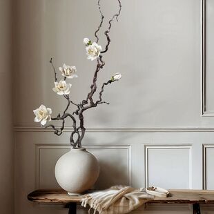 栀子花禅意插花干枝造型落地天然干树枝装饰干支花束艺术龙枣干枝