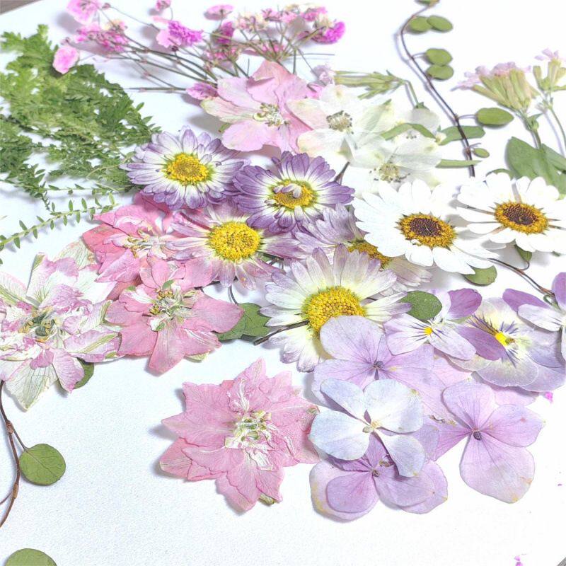 压花干花材料包组合云南缤纷红书网红签手工DIY制作 相框装饰