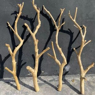 干树枝原木杈艺术干枝枯枝枯木树干鸟架造型壁挂衣架吊顶装饰