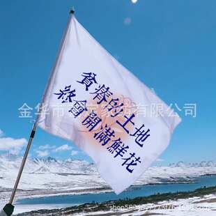 演唱会旗帜音乐节摇滚应援大旗队旗班旗运动旗户外登山旅游队旗