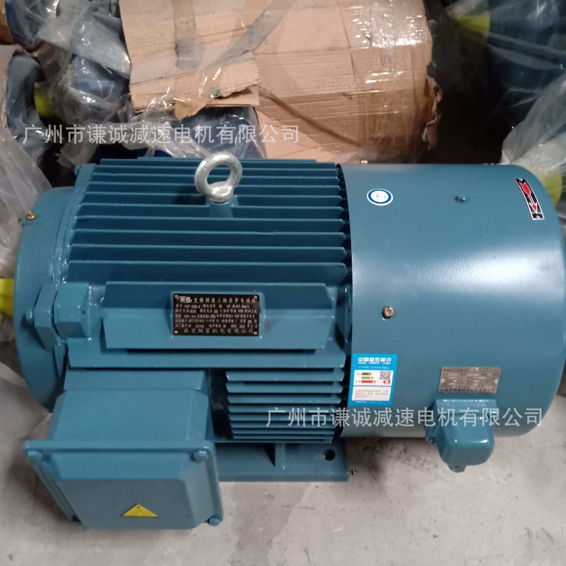 翔鲨/鑫诺30千瓦电机YE4/YE3/YE2 200L-4 30KW立式卧式