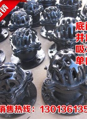 阀DN50单向阀 6井底阀106528法兰铸铁H4 0 底0阀阀吸水X底水泵-