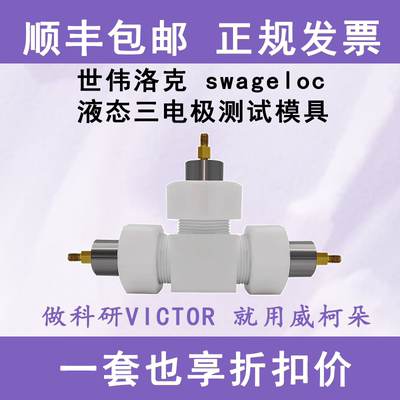 金属液态三电极测试模具世伟洛克