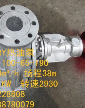 （0常州市武进总成热WR065泵19-11温W-油泵K头10配件）导热油Y高