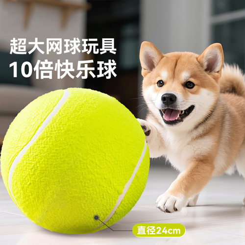 狗狗玩具球居家互动自嗨解闷中小大型犬耐咬磨牙网球宠物玩具