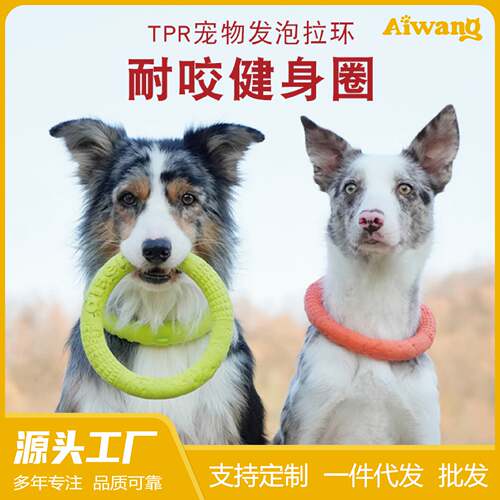 宠物拉环狗飞盘中小型犬训练专用TPR发泡耐咬户外宠物猫玩具