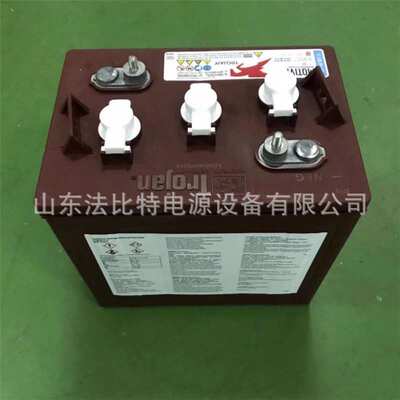 Trojan邱健蓄电池T-105PULS/6V225Ah电动升降平台 清洁车 扫动车