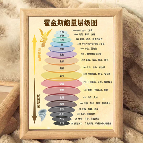 霍金斯能量层级图木质挂墙相框