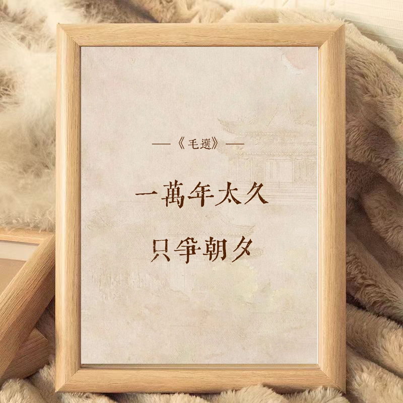 毛选一万年太久只争朝夕相框摆件