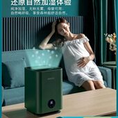 雾化式 纯蒸西无智能点型静音卧室大容量雾净发恒温空气加湿器家用