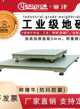 亚津工业1-3吨小型地磅秤2T平台秤3t电子地秤电子磅厂家电子秤