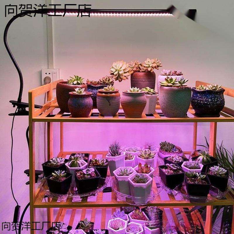多肉补光防徒灯定时功能夹子款上色全光谱LED盆栽植物生长灯