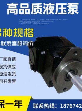 尼逊0-0T6DN00IR00T6D-1411C油泵DE14ONC2丹S叶片泵R-1---