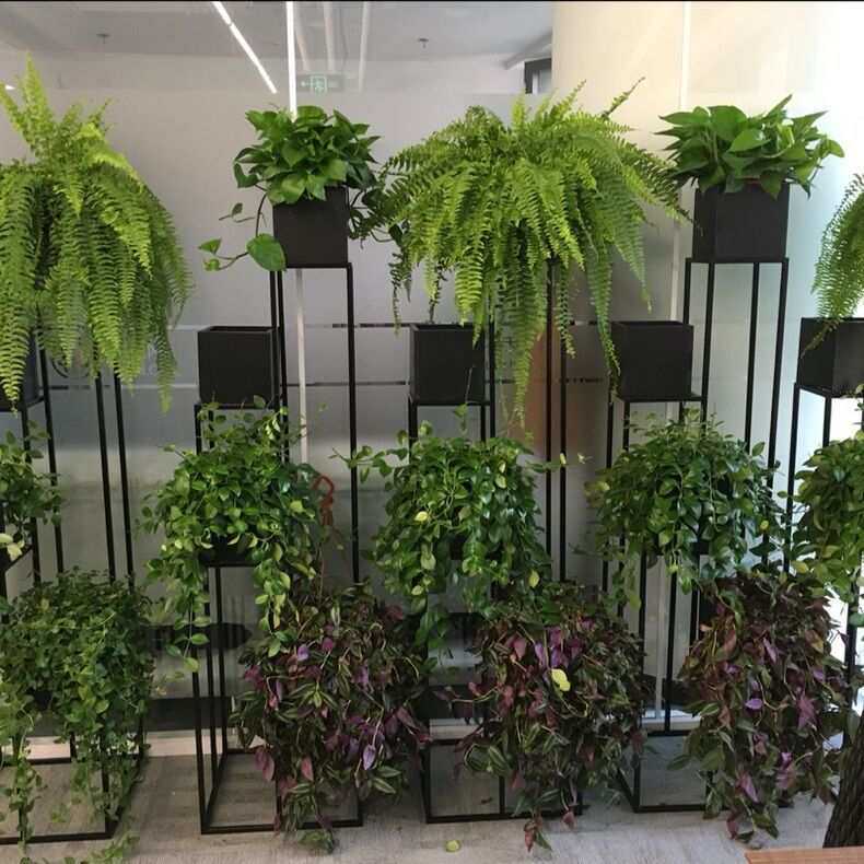 简约铁艺落地式创意休闲花架多层阶梯阳台转角绿植架子绿萝花盆架