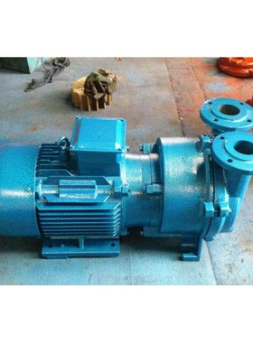 水环真空泵 2BV2061 2BV液环式真空泵 SKA电动水环式真空泵厂家