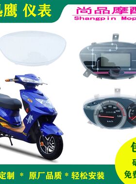 迅鹰电动车液晶仪表总成摩托车显示器48v60v72v大中小迅鹰里程表