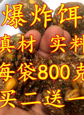 水库野钓江河窝料甩杆抛竿海竿爆炸钩饵料鲤鱼草鱼远投竿
