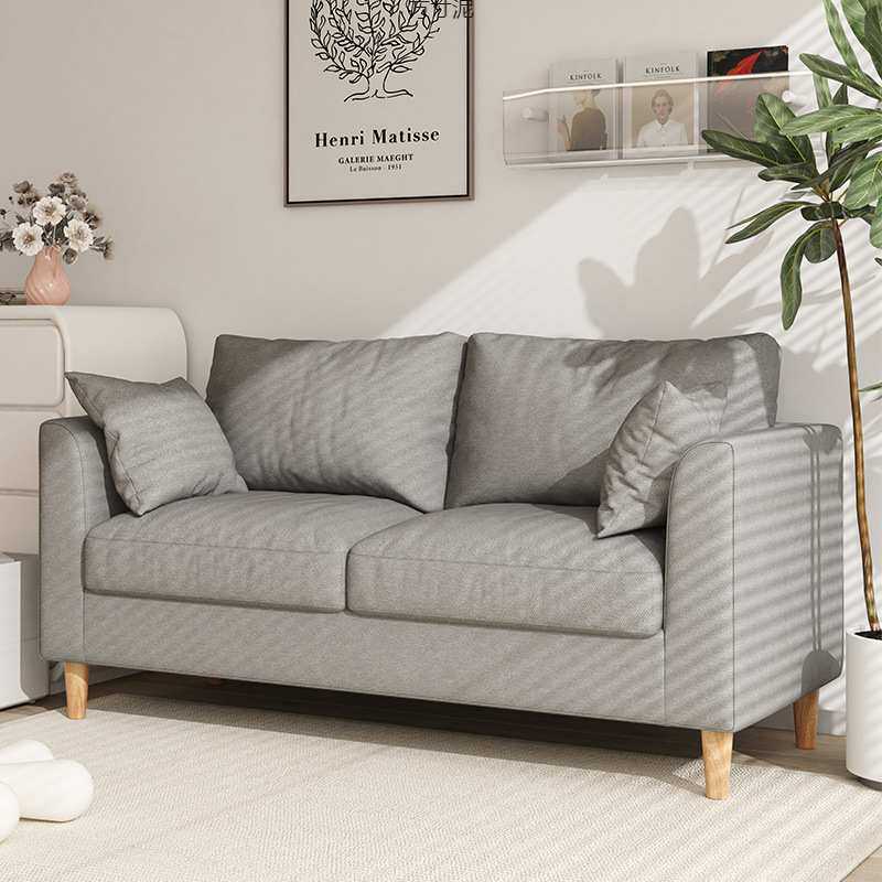 双人款网红简约出租房简易现代布艺沙发小客厅小户型三人小型,鲜花速递/花卉仿真/绿植园艺,其它园艺用品,淘宝优惠券,粉丝福利购,淘宝优惠卷