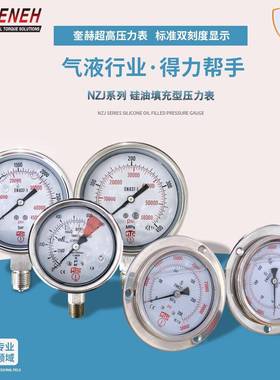 耐震压力表NZJ-060704N压力仪表耐高温不锈钢油表液压表