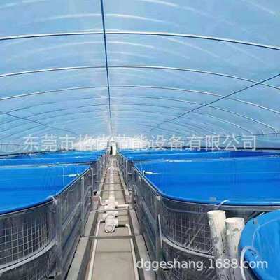 鱼池加热设备高密度养殖室内鱼池恒温循环水产养殖机工厂直销热泵