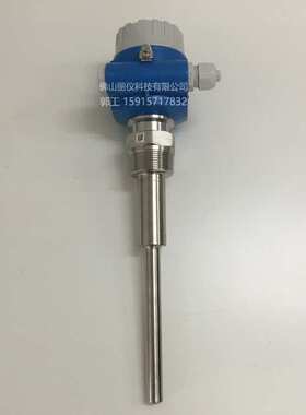 E+H音叉料位开关FTM20-AG45A恩德斯豪斯FTM20-AA22A  FTM20-AA45A