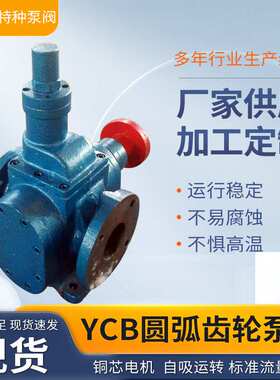 YCB圆弧齿轮油泵ycb齿轮泵耐高温油泵铸铁耐磨电动抽油泵现货