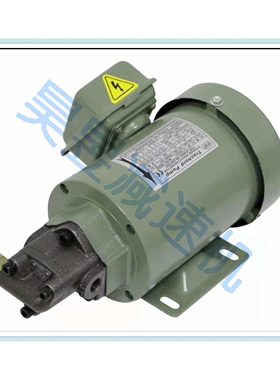 油冷机马达电机 1ME200 2ME400 2ME750 润滑摆线齿轮油泵 2A