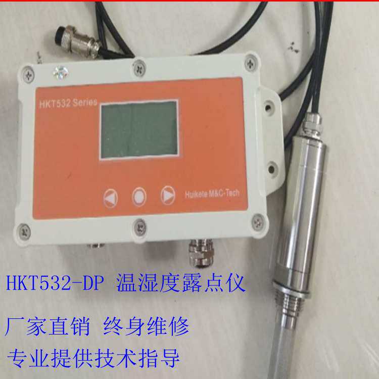 罗卓尼克 LY60SP 在线式露点仪 露点变送器 SF6露点仪温湿度计