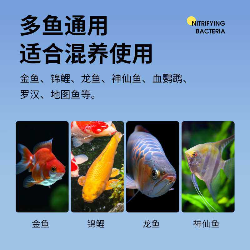 ATA内外水质治理改良剂金鱼锦鲤龙鱼多鱼通用混养温和水质改良剂