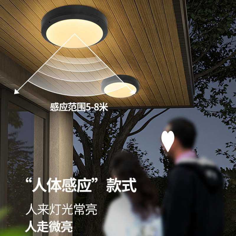 室外吸顶灯防水阳台灯防潮防虫过道灯户外圆形走廊大门灯led跨境