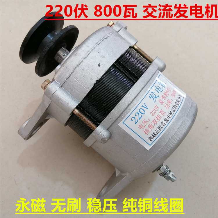 Y永磁恒压220V800W发电机加变速箱大功率手摇发电机带稳压器增速