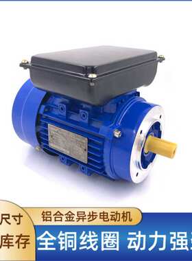 工厂非标定货单相220V/60HZ 115V/60HZ 240V单电容双电容电动机
