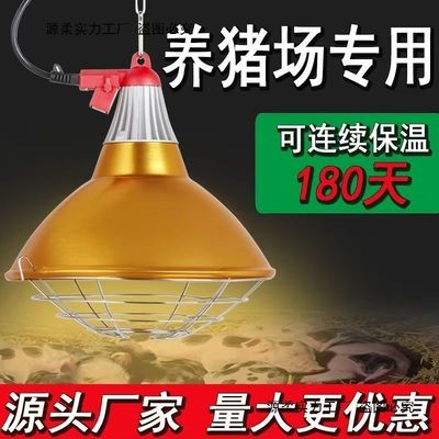 狗狗保暖灯母猪产床猪场保温灯罩养殖鸡鸭鹅取暖灯猪用仔猪加热灯