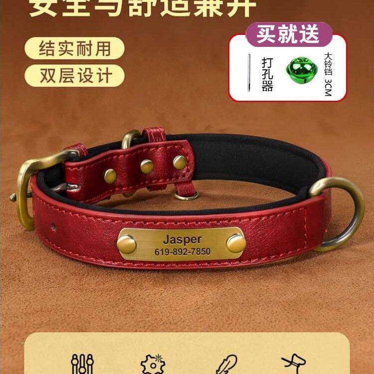 狗狗项圈钉制刻字泰迪比熊狗子防脱防丢狗牌小型中型不伤脖子