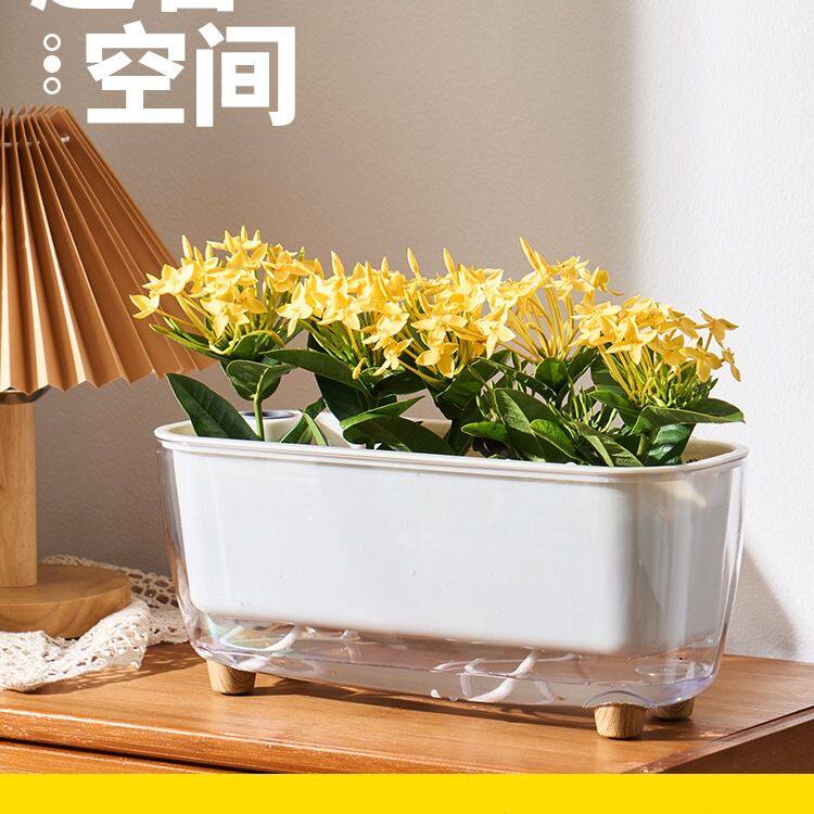 阳台懒人自动吸水花盆长条型家用绿箩种植长方形绿萝水培器皿