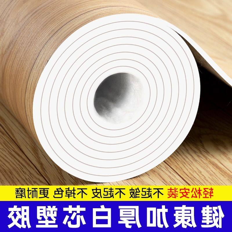 毛坯房家用地毯卧室客厅地板革加厚房间地垫大面积全铺地胶