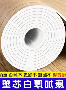 毛坯房家用地毯卧室客厅地板革加厚房间地垫大面积全铺地胶