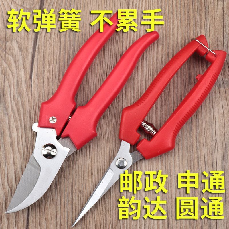 修枝剪子葡萄摘果剪园林果树剪刀粗枝花省力树枝修剪花的