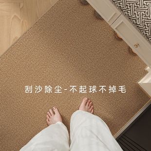 仿剑麻入户门地垫可裁剪可机洗地毯2025新款门口进门脚垫家纺家饰