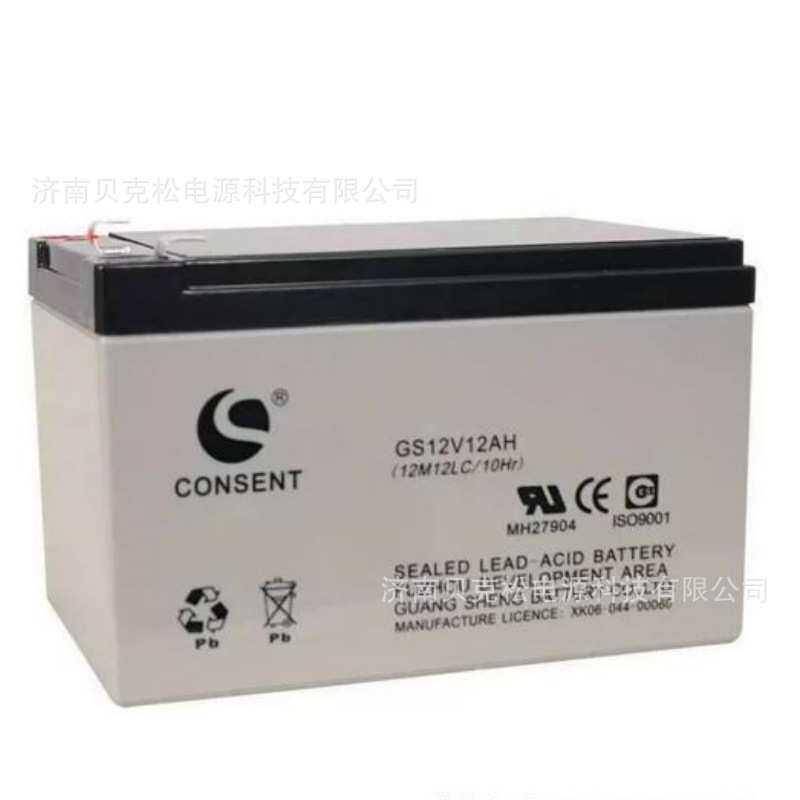 光盛蓄电池GS12V65AH 12V7a9a12a17a24a38a100a150a200a UPS电源