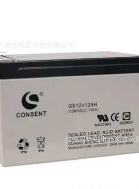 光盛蓄电池GS12V65AH 12V7a9a12a17a24a38a100a150a200a UPS电源