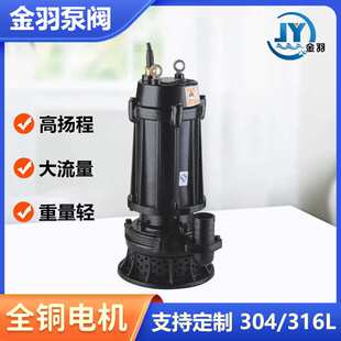 金羽QDX100-6-3家用农用灌溉浇地 QX380v高扬程潜水泵